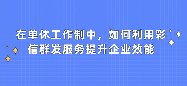 在单休工作制中，如何利用彩信群发服务提升企业效能