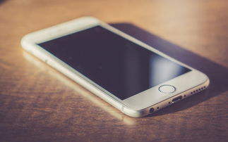 手机短信彩信 手机短信彩信