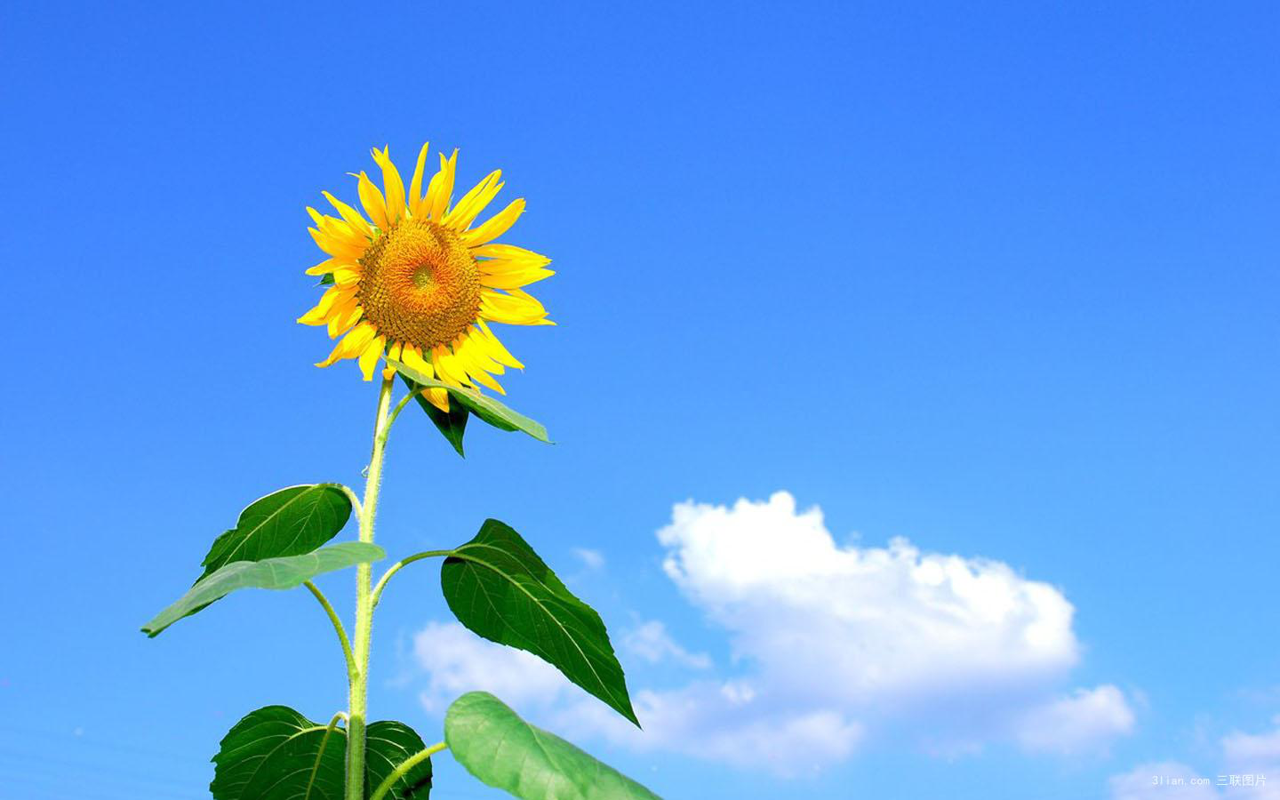 提升用户友好度