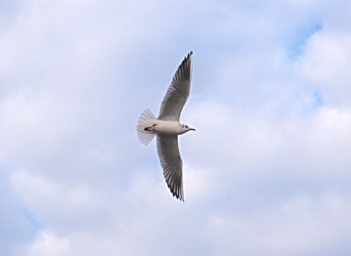 1536038356700r5t.jpg