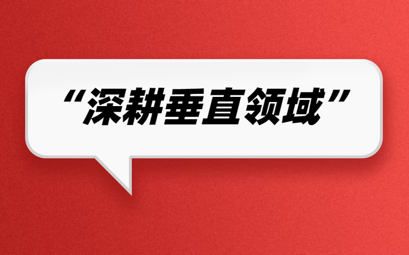 深耕垂直领域，企业方能走的更深走的更远