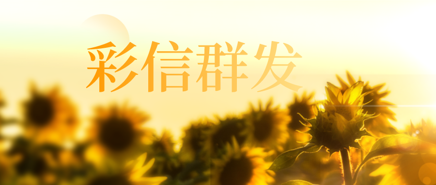 社群运营的本质和彩信群发有什么区别？